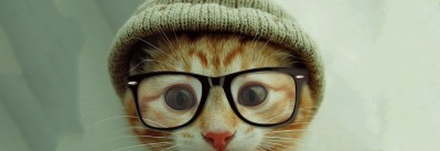 Cat pics for all thumbnail